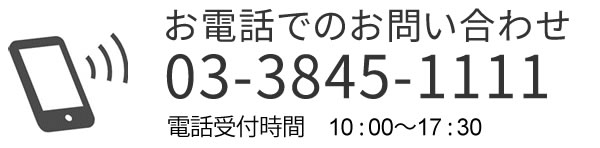 03-3845-1111